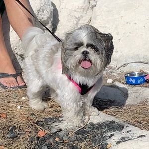 Meet your Posher, Kiersten